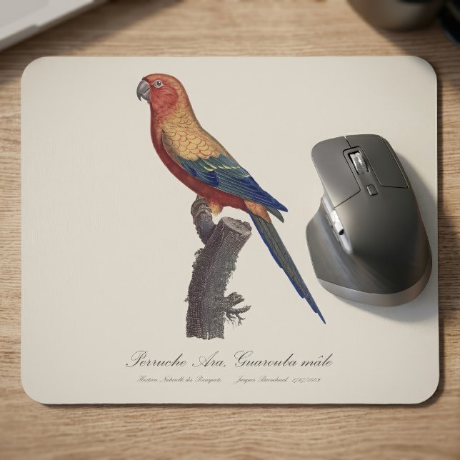 Sun Parakeet Male, Aratinga Solstitialis Mouse Mat (Sun Parakeet Male, Aratinga Solstitialis. Mouse Pad)
