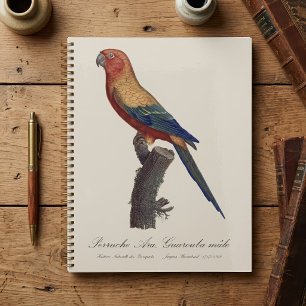 Sun Parakeet Male, Aratinga Solstitialis Planner