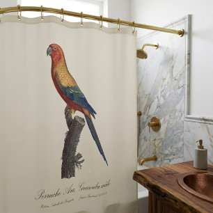 Sun Parakeet Male, Aratinga Solstitialis Shower Curtain