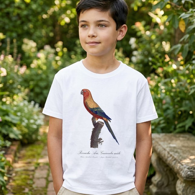 Sun Parakeet Male, Aratinga Solstitialis T-Shirt (Sun Parakeet Male, Aratinga Solstitialis. Boy Basic White T-Shirt )