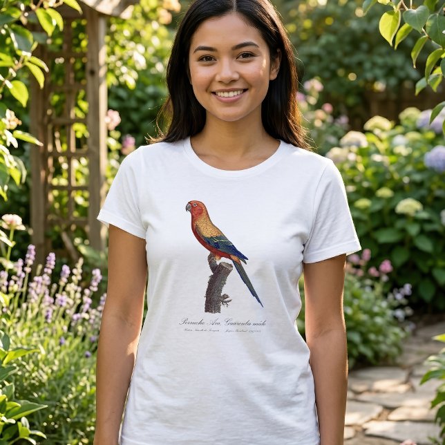 Sun Parakeet Male, Aratinga Solstitialis T-Shirt (Sun Parakeet Male, Aratinga Solstitialis. Women Basic White T-Shirt )