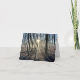 Sun Peeking Through Trees Landscape Greeting Card