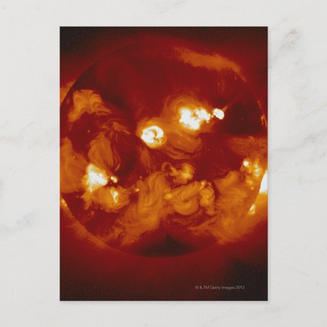 Sun Postcard (Front)