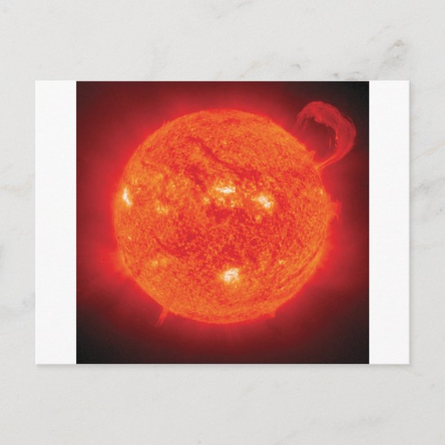 Sun Postcard (Front)