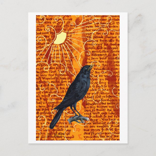 Sun Raven Postcard (Front)