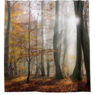 Sun Rays Mystic Misty Forest Shower Curtain