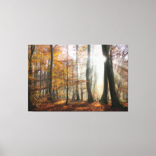 Sun Rays Mystic Misty Forest Wrapped Canvas Print