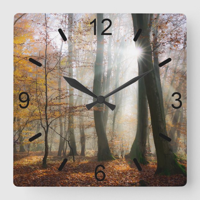 Sun Rays Mystic Misty Scenic Forest - dial-plate Square Wall Clock (Front)
