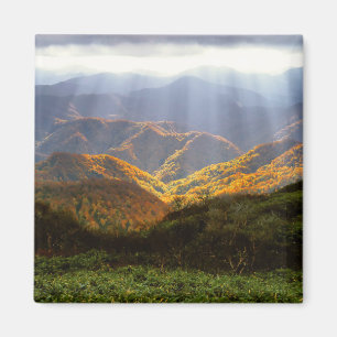 Sun Rays Over Shirakami-Sanchi Mountains Magnet