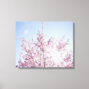 sun rays pass through pink flowers of a wow tree canvas print