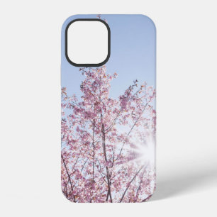sun rays pass through pink flowers of a wow tree iPhone 12 case