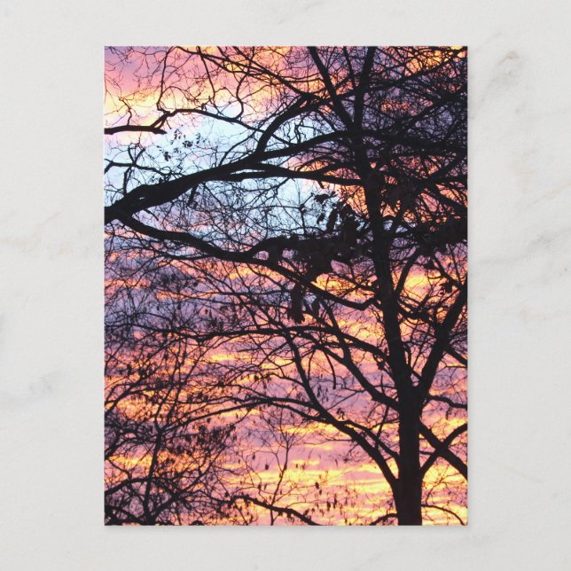 Sun Rise Postcard (Front)