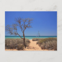 Sun, Sea, Sand - Monkey Mia Western Australia