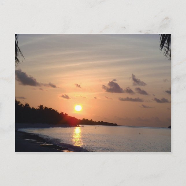 Sun Set Postcard (Front)