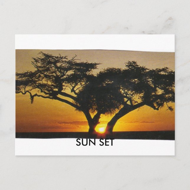 SUN SET POSTCARD (Front)