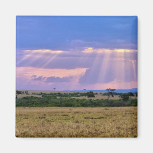Sun setting on the Masai Mara. Magnet