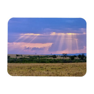 Sun setting on the Masai Mara. Magnet