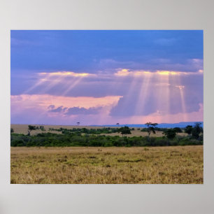 Sun setting on the Masai Mara. Poster