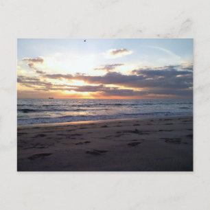 Sun setting over the Florida Gulf  Postcard