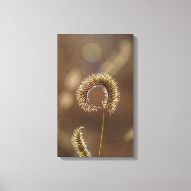 Sun Shine on Me! Canvas Print (Front)