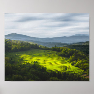 Sun shining on field of terraces poster