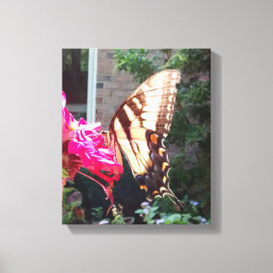 Sun Shining Through Tiger Swallowtail Canvas Print