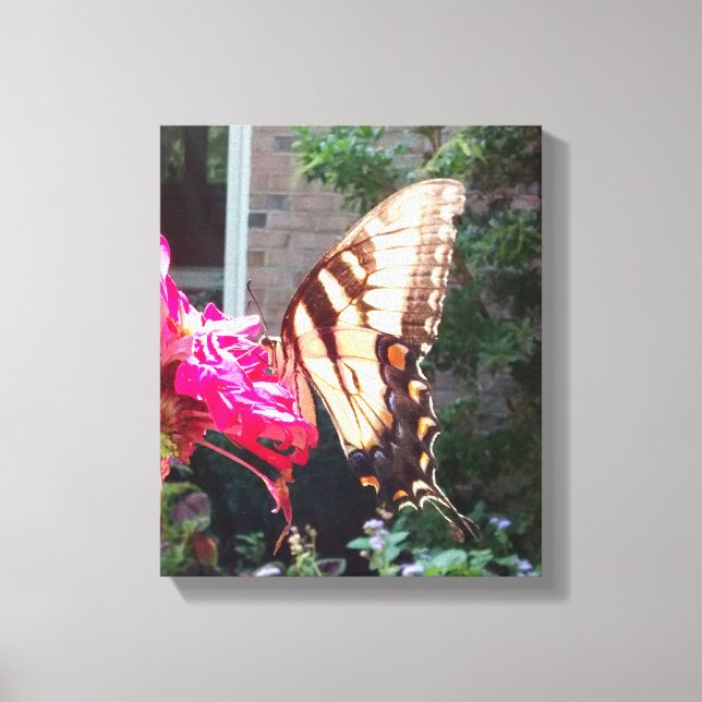 Sun Shining Through Tiger Swallowtail Canvas Print (Front)