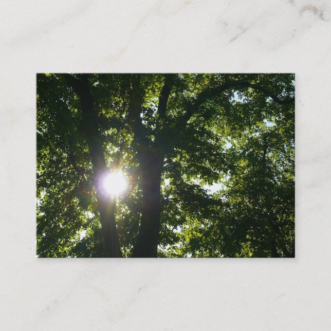 Sun Shining Through Trees Business Card (Front)