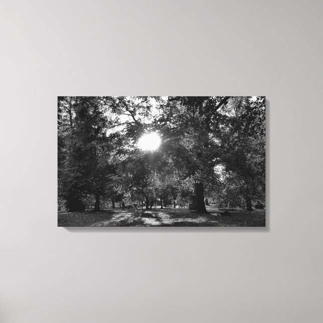 Sun Shining Through Trees Canvas Print (Front)