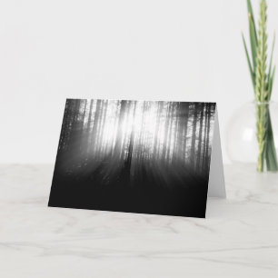 Sun Shining Through Trees in the Forest Card