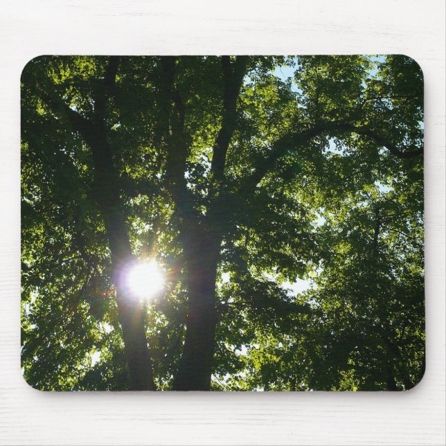 Sun Shining Through Trees Mouse Mat (Front)