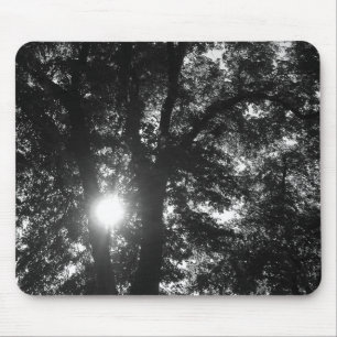 Sun Shining Through Trees Mouse Mat