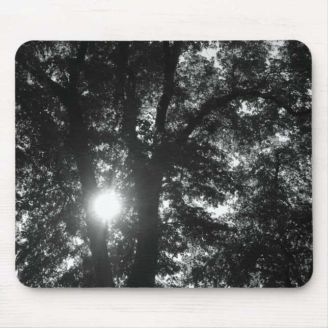 Sun Shining Through Trees Mouse Mat (Front)