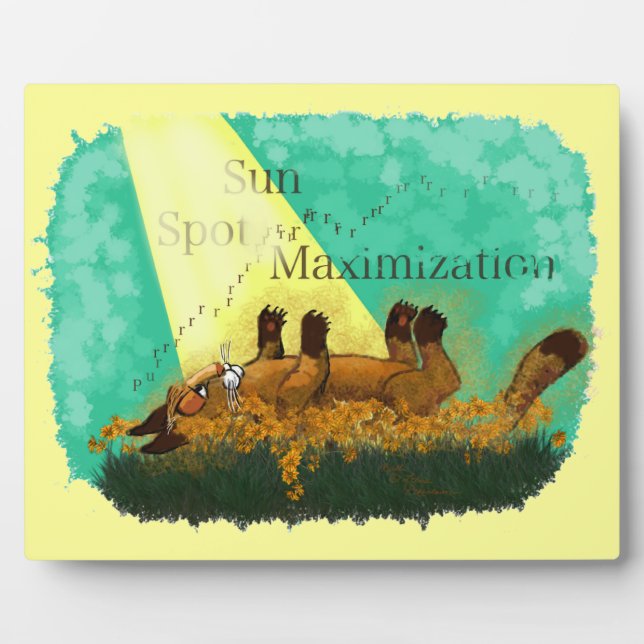 Sun Spot Maximisation Plaque (Front)