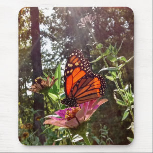 Sun Streaming Down on Monarch on Flower Mouse Mat