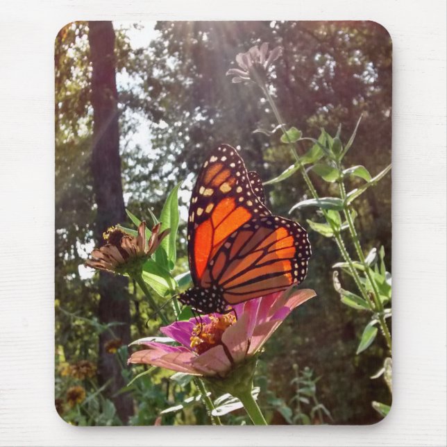 Sun Streaming Down on Monarch on Flower Mouse Mat (Front)