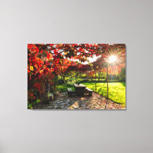 Sun through autumn leaves, Croatia Canvas Print