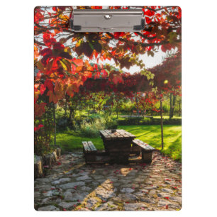 Sun through autumn leaves, Croatia Clipboard