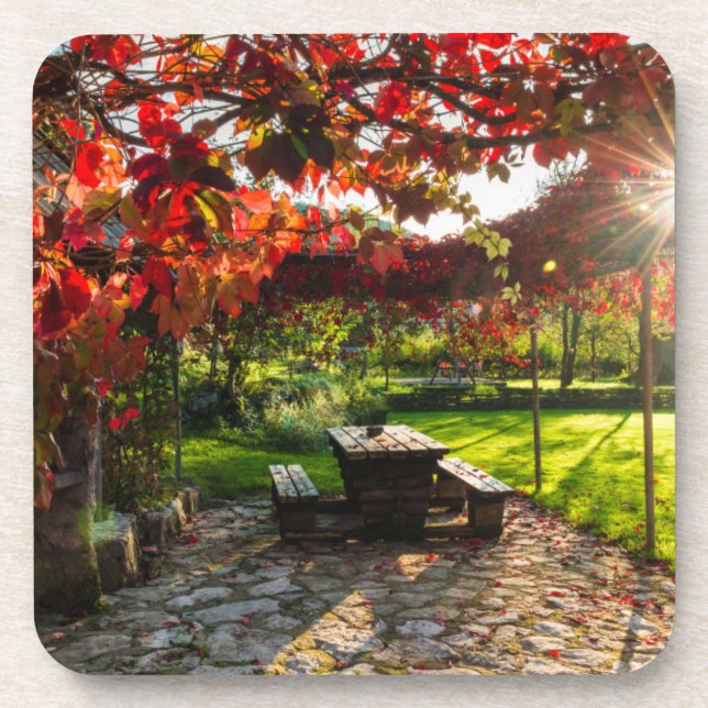 Sun through autumn leaves, Croatia Coaster (Front)