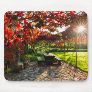 Sun through autumn leaves, Croatia Mouse Mat