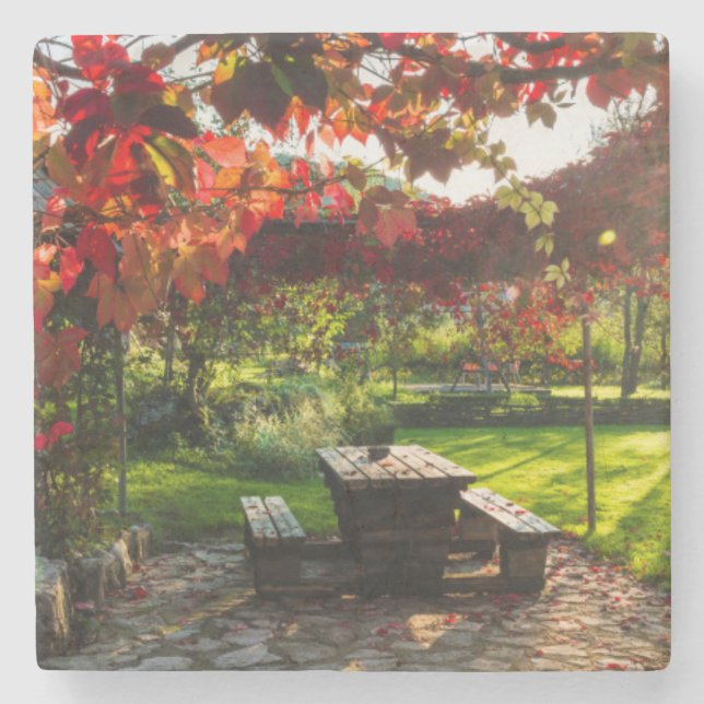 Sun through autumn leaves, Croatia Stone Coaster (Front)