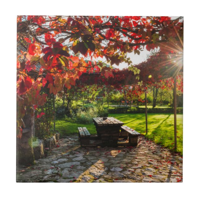 Sun through autumn leaves, Croatia Tile (Front)