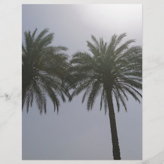 Sun Trees Egypt. (Front)