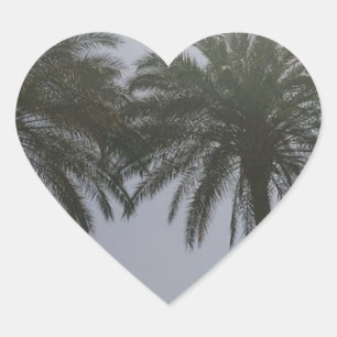 Sun Trees Egypt. Heart Sticker