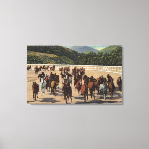 Sun Valley, ID - Wild Horse Roundup Canvas Print
