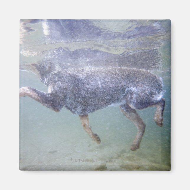 Sun Valley, Idaho, USA. Magnet (Front)