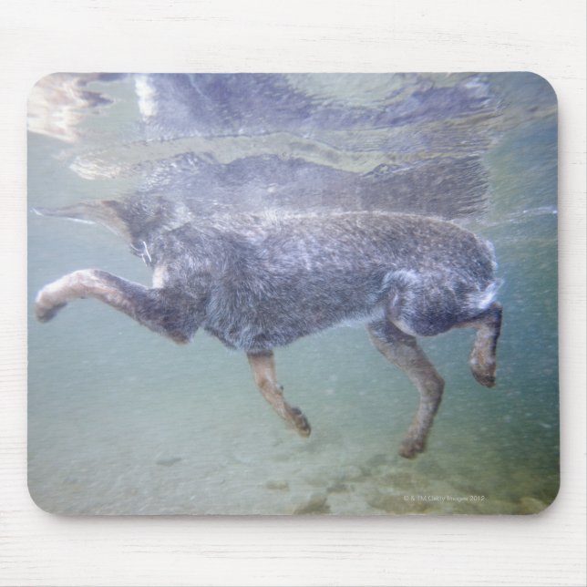 Sun Valley, Idaho, USA. Mouse Mat (Front)