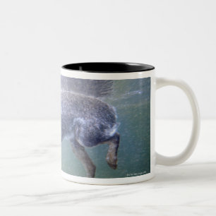 Sun Valley, Idaho, USA. Two-Tone Coffee Mug