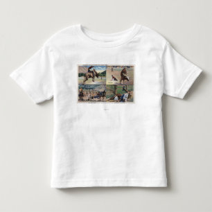 Sun Valley, IDRodeo Bull Dogging Scenes Toddler T-Shirt