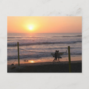 Sun Volley & Surf Postcard